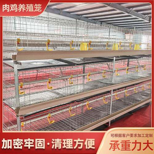 粪盘肉鸡笼养殖场养鸡立体笼立式四层2门养殖笼畜牧农用养殖鸡笼