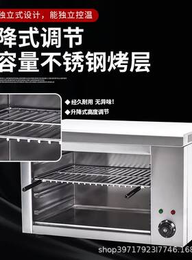 思智商220台式电热面升火用 挂式多尺寸降烤炉鱼烤肉烧烤电热面火