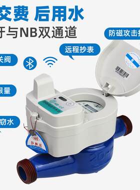 头源厂家NB-Iot家无铁壳盛达智能蓝牙远传水表阀双通道手机扫码用