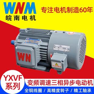 安徽皖南YXVF系列 变频调速三相异步电机 全铜线圈
