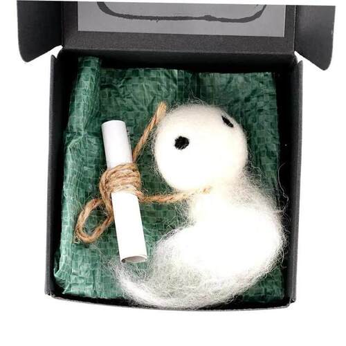 1set Halloween Adopt A Ghost Doll With Book Of Contract Hall