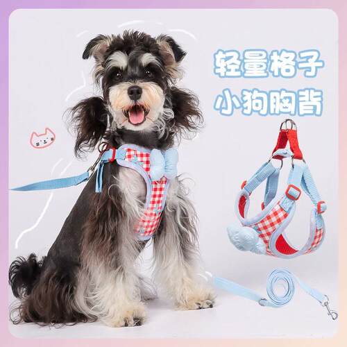 狗狗牵引绳胸背带外出透气防挣脱中小型犬调节可爱宠物项圈遛狗绳
