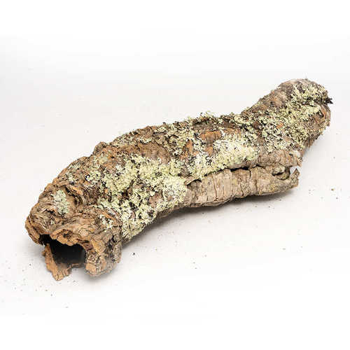 宠香槟躲避 爬鱼缸软木树皮造景树洞葡萄牙雨淋树皮缸 天然