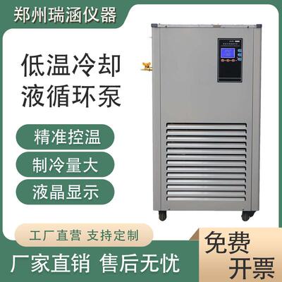 厂家推荐DLSB系列20L低温冷水机低温反应设备低温冷却液循环泵