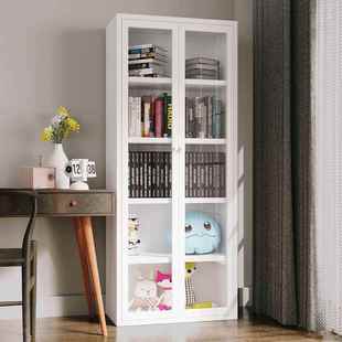 用铁艺家书柜带YHN门防玻璃门钢制矮柜组合展示柜置储尘物柜收纳