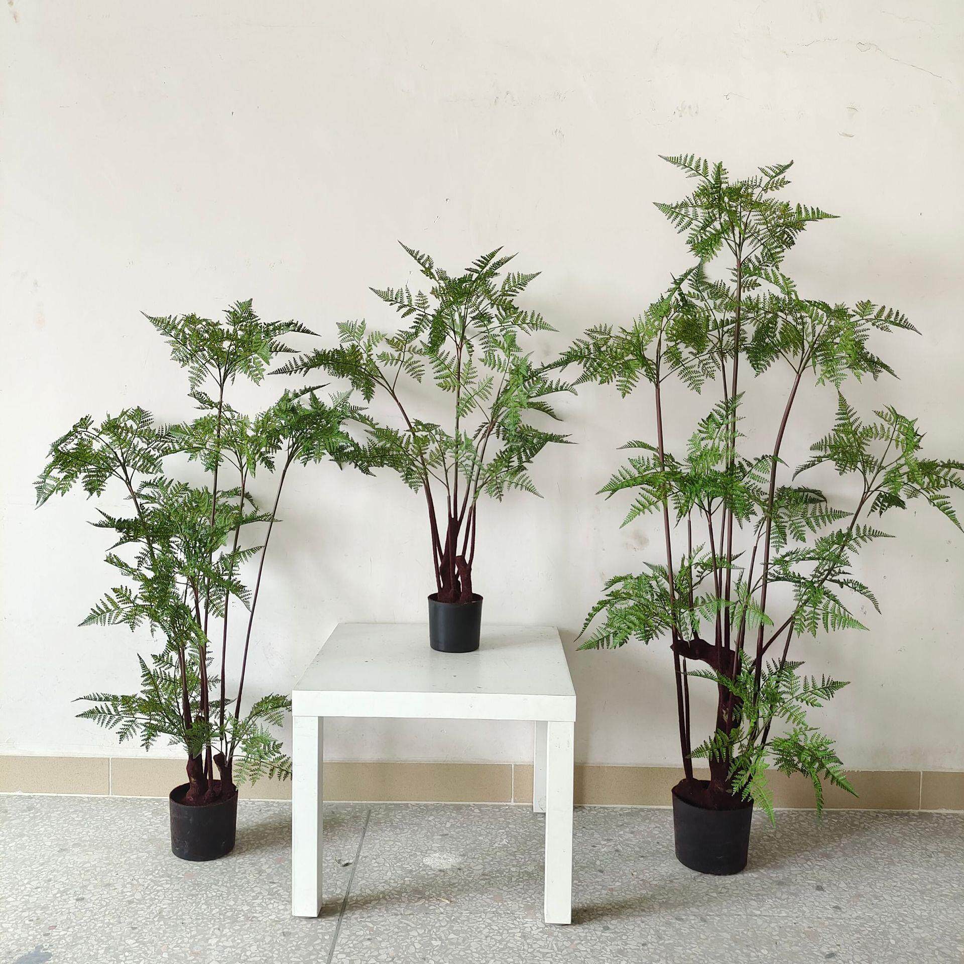 常青仿真绿植盆栽橱窗软装家居落地饰品造景铁线厥文竹家居装饰