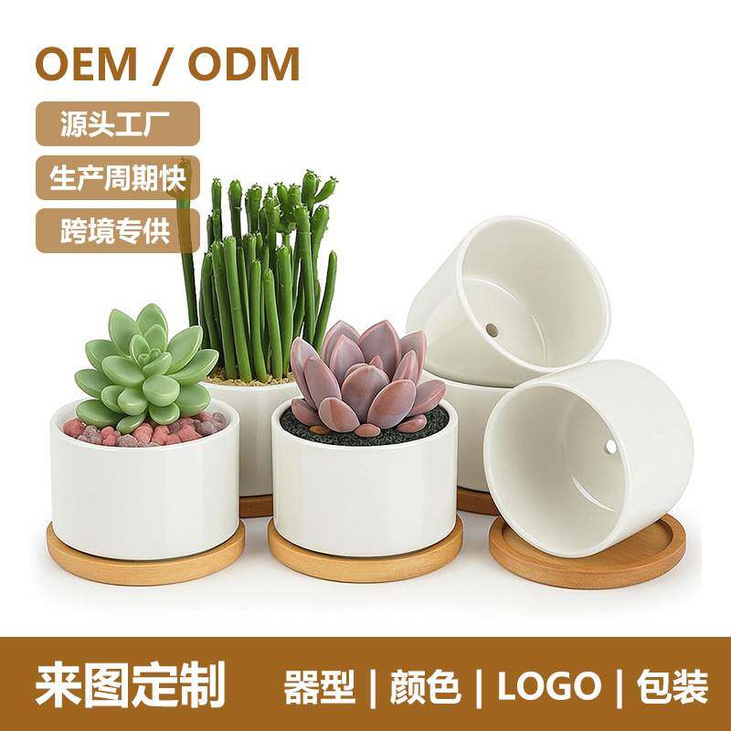 多肉专用花盆陶瓷带木托盘办公室桌面小盆栽白色瓷迷你花瓶亚马逊