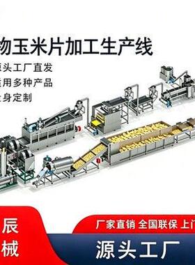早餐谷物食品全自动生产线玉米片膨化机双螺杆挤压设备加工流水线