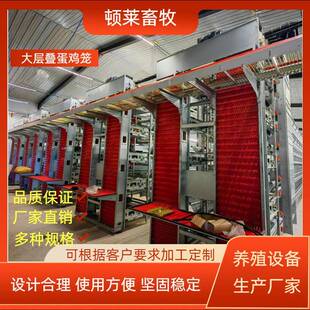 厂家不锈钢养鸡笼加粗全自动化肉鸡笼养鸡笼鸡场高效养殖养殖笼子