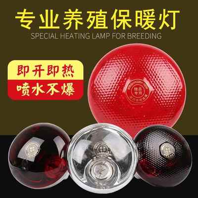 猪场育雏保温灯鹦鹉芦丁鸡小猪加热保暖灯养殖取暖灯红外浴霸灯泡