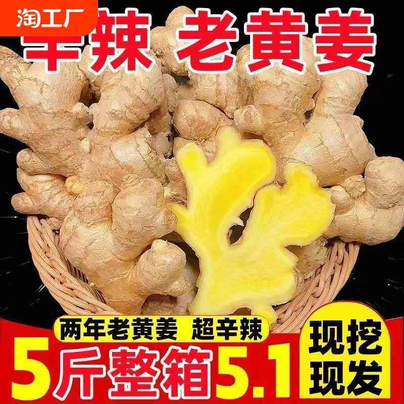 2024云南小黄姜5斤当季新鲜生姜现挖高山沙姜老姜土姜月子姜蔬菜1