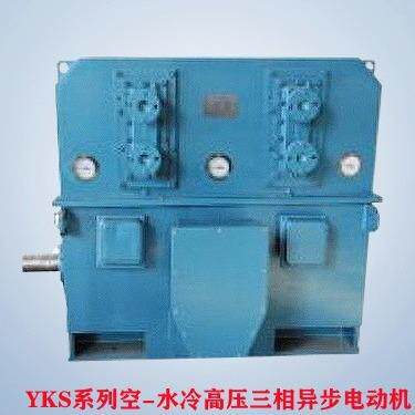 山东厂家直供YS355-2/280W空水冷高压三相异步电动机