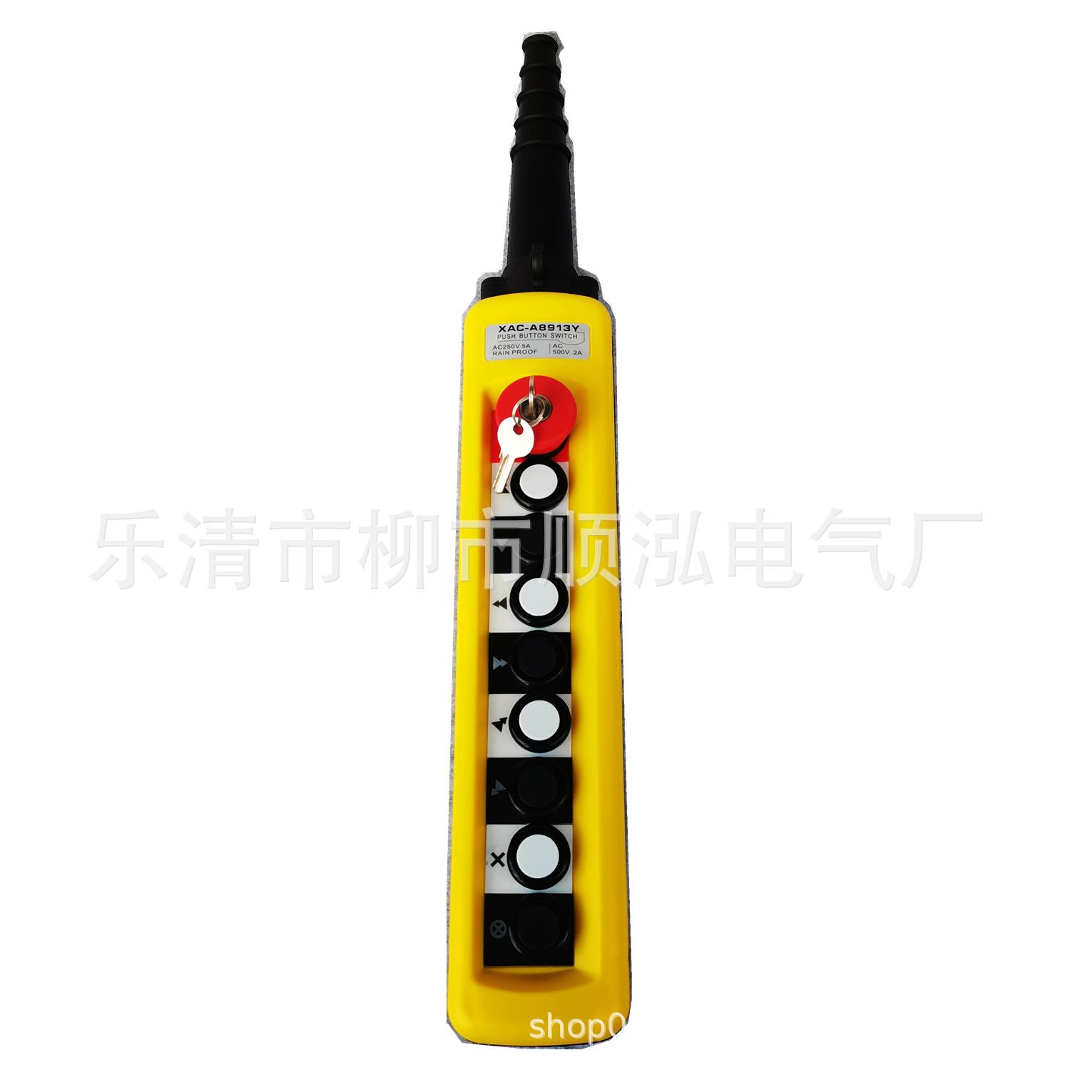 TNHA(XAC)-A8913Y X8913电葫芦起重行车按钮控制手柄开关带锁钥匙