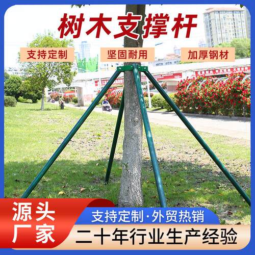 树木支撑架苗木镀锌钢管支撑胶套杯大树铁支撑杆防风稳定支架