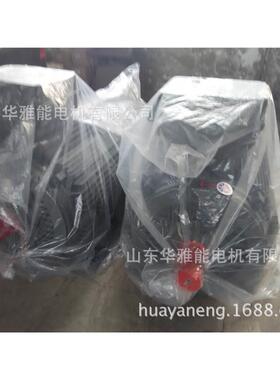 YXM-180L-4-22电机60HZ频率YXM电机卧式顺时出线口M24朝非轴伸端