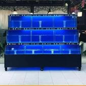 饭用店贝超市移动海鲜鱼体缸鱼池商55606制冷机一水产类池双层海