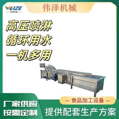 全自动果蔬气泡清洗机商用高压喷淋洗菜机大枣海鲜气泡清洗设备