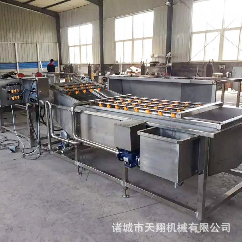 家能应全供自动果蔬清洗机多功玉米大姜清洗机蔬菜气103泡清洗厂