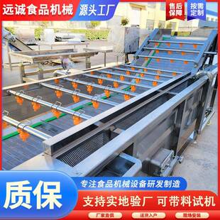 果蔬清洗 机 喷淋式药材笋竹气泡清洗机洗菜IUR机 叶菜类清洗水流
