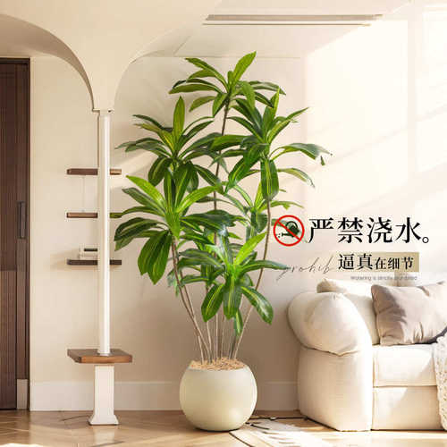 室内仿生蔷格绿摆件客厅盆栽造景仿真落地装饰假植物植木