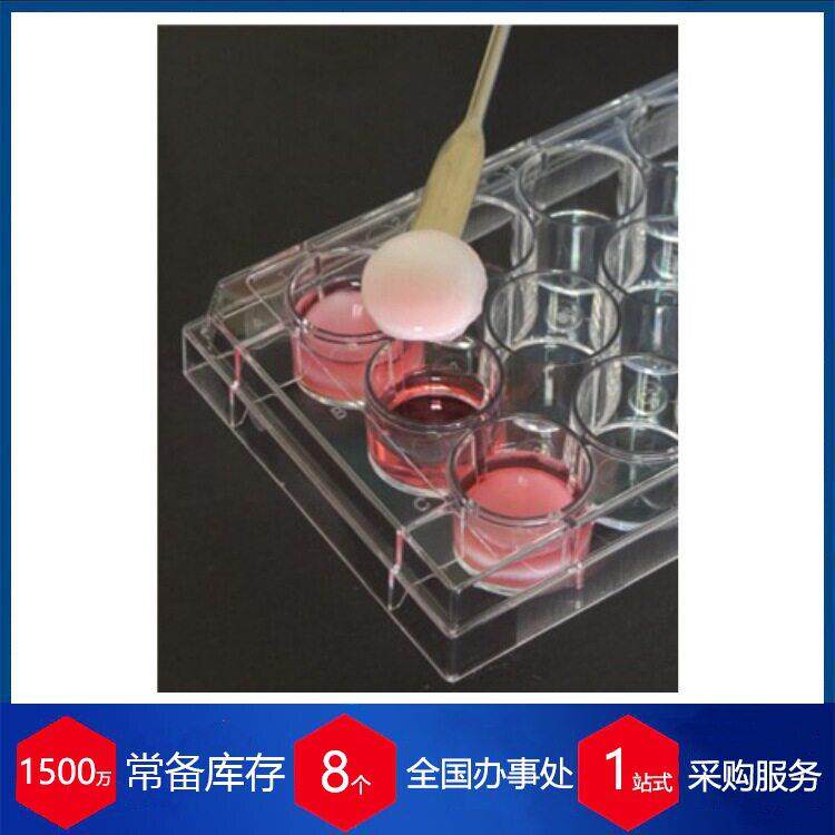 德国胶原蛋白水凝胶