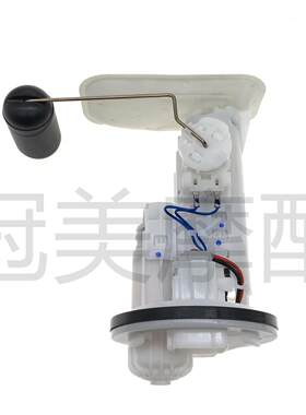 适用电喷踏板摩托车国四酷奇巧格福喜奔腾燃油泵汽油泵总成