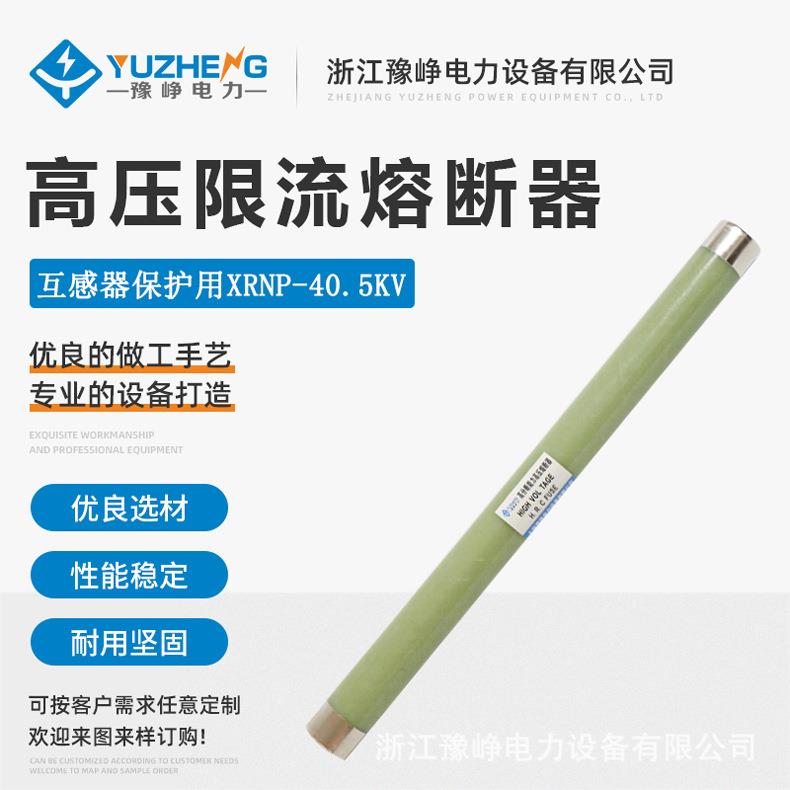 35KV互感器保险 XRNP-35-40.5KV/0.5A-3.15A 高压限流熔断器XRNP1