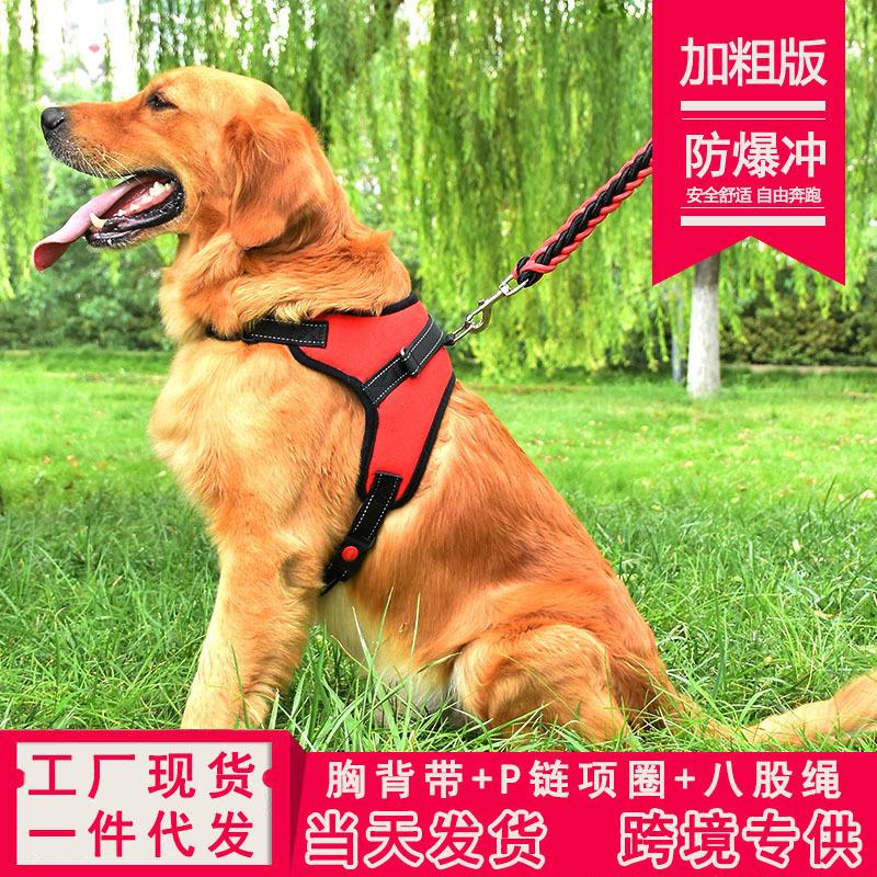 狗狗牵引绳狗链子K9胸背带防爆冲小中大型犬金毛宠物用品厂家直销