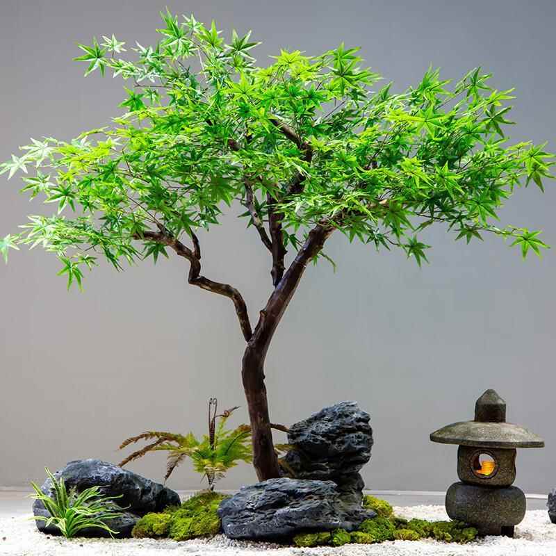 真枫叶树青枫树大型绿植室设计绿仿装饰假树内日式橱窗BRE造景鸡