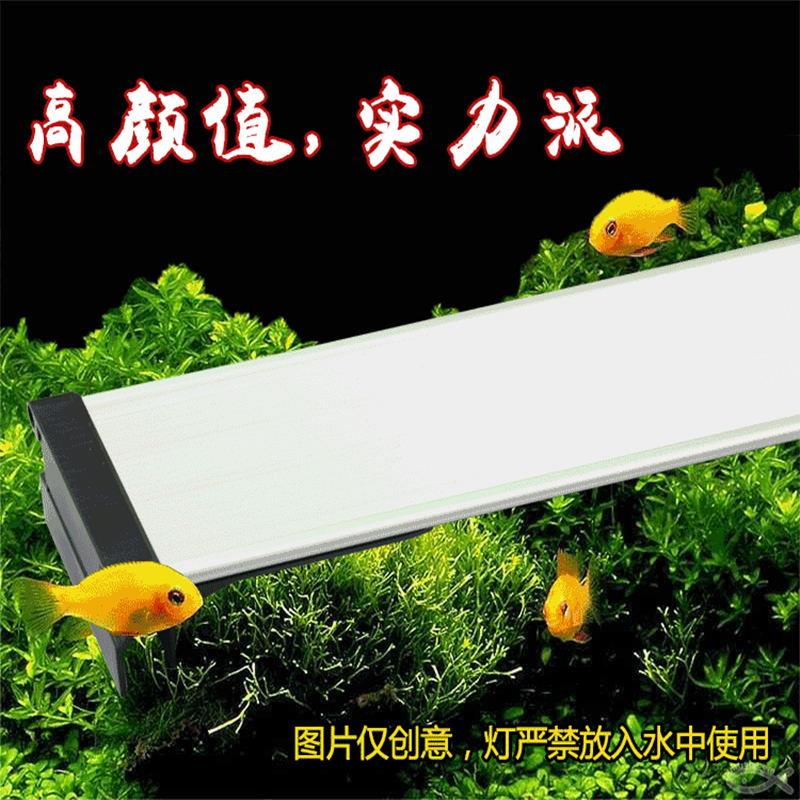 LED灯鱼缸灯草缸全光谱水草灯防水七彩变色水族箱照明增色灯小型