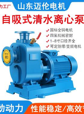 BZ自吸泵380V卧式耐腐蚀三相大扬程防堵塞大流量清水泵