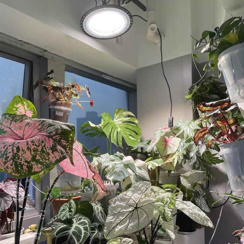 彷太阳光模拟灯全光谱植物补光灯大棚室内多肉花卉月季植物生长灯