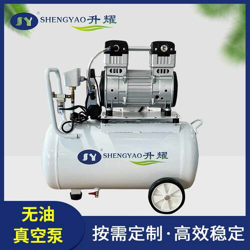 源头厂家无油真空泵二级吸附气泵工业吸盘加工夹具空压机自吸