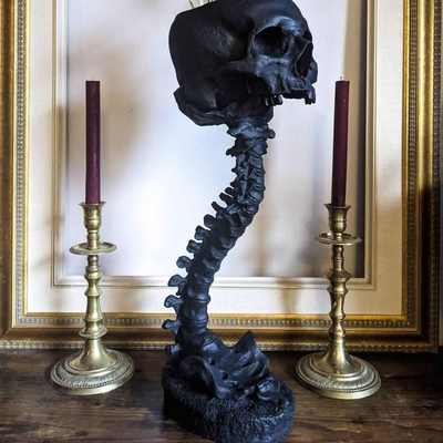 爆款 Skull Planter & Spine Stand Sets 骷髅花盆和脊椎