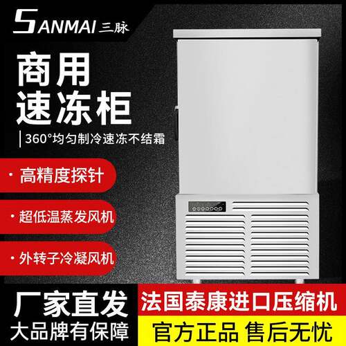 商用速冻柜5盘低温冷柜10盘商用冷柜风冷零下40度冻藏柜