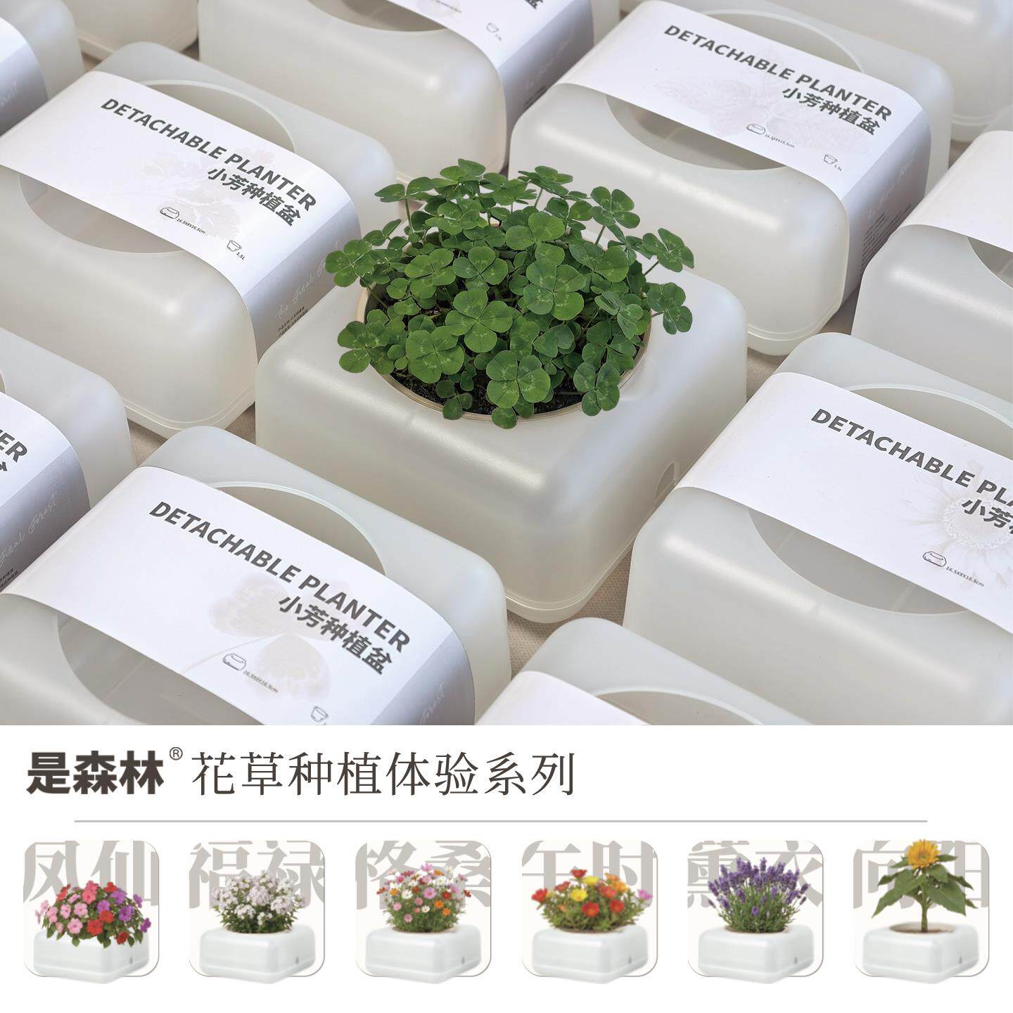 亦是田蔬果种植盒·丁香紫内盆套餐桌面种植盆蔬菜盆书桌阳台花盆