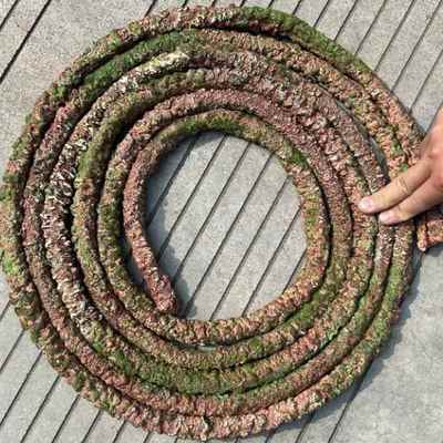 仿真树藤山藤造型枯藤花墙玫瑰墙打底藤蔓植物爬藤缠绕葡萄藤藤条