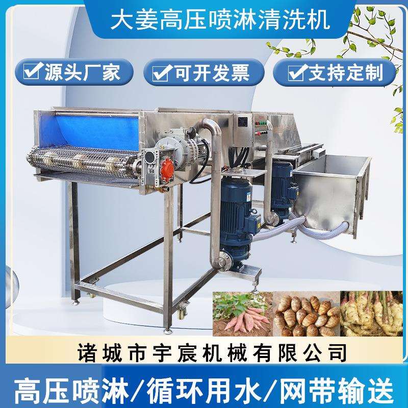 大型生姜黄姜老姜清洗机土豆莲藕红薯芋头清洗机高压喷淋清洗设备