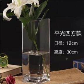 玻璃KDW4783方缸型植物简单水培百方平光现大代富贵竹简约花合瓶