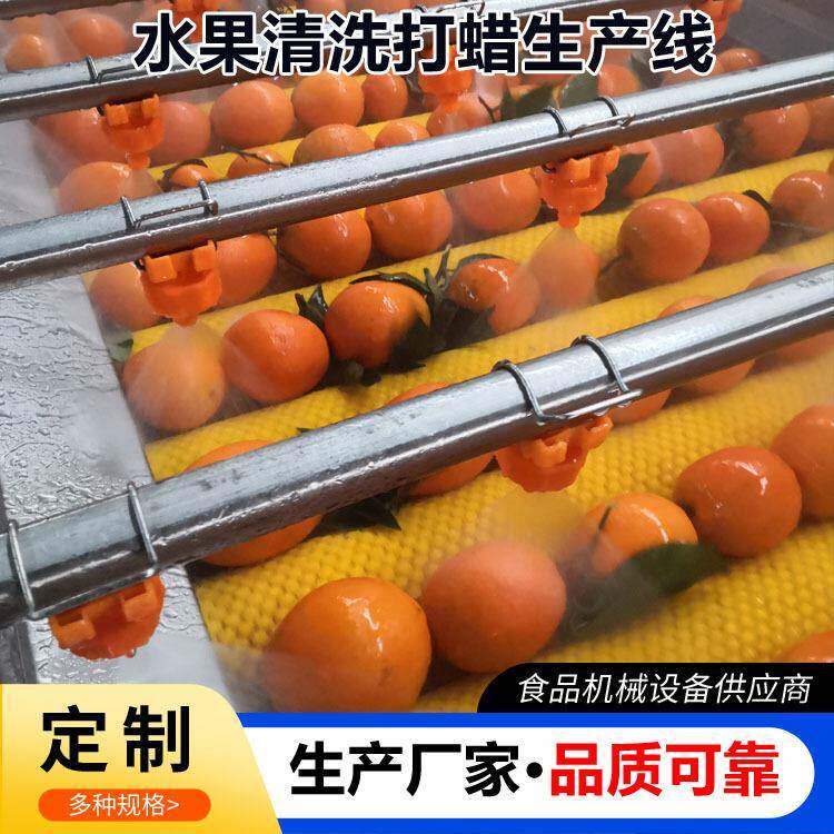 全自动砂糖橘清洗打蜡机水果打蜡清洗设备柑橘柚子打蜡分级机