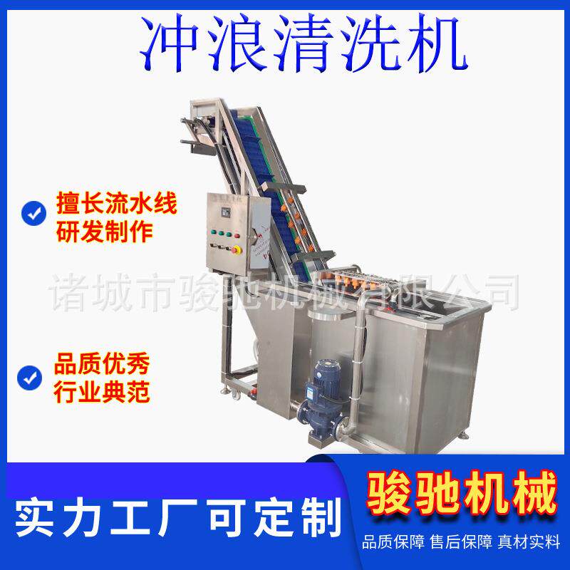 商用全自动冲浪式清洗机果蔬肉类海鲜通用清洗设备