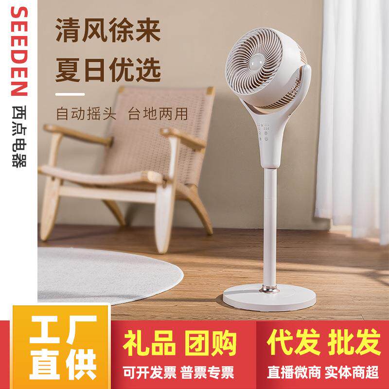 西点空气循环扇 家用对流扇遥控落地扇台立式宿舍摇头新款电风扇
