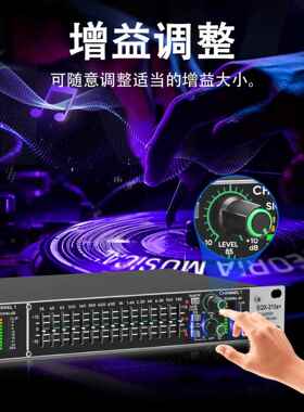 美智21DLT5双声15段演出酒吧降噪会议调音器均调衡家用器音eq立体