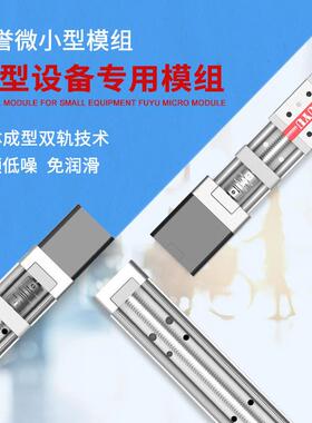 FUYU双轨丝杆滑台微型精密步进马达移动数控直线 线导轨线 线性模