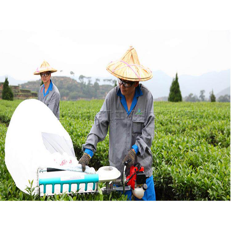 采茶机单人采茶机茶园收获机双人大排采茶机操作简单速度快