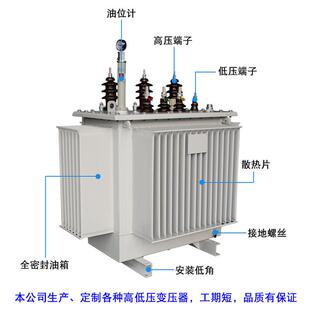 电力变压器10KV变400V铁塔通信柱上变压器20 30KVA 10KVA油浸式