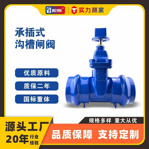 Z85X-16Q承插式沟槽闸阀暗杆软密封闸阀城市给排水管网管道设备