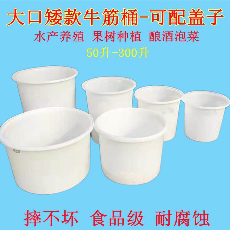 加厚牛筋桶矮款养殖水产大口圆桶种花树桶泡菜桶熟胶打灰桶带盖子
