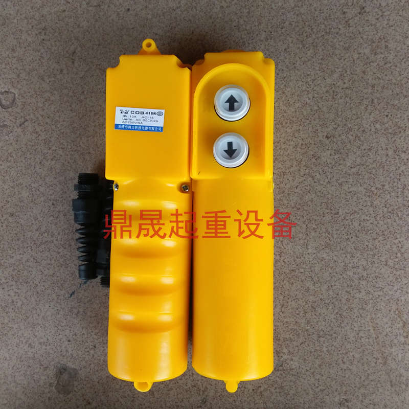 /微型电动葫芦吊开关电容按钮下机上手柄控制器家用新款带两键220