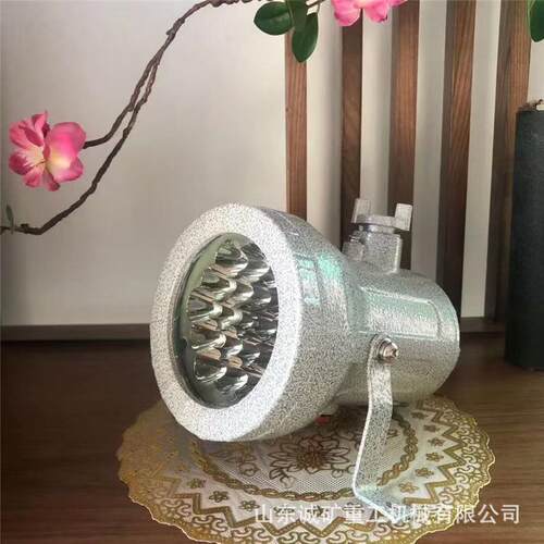 诚意销售防爆视孔灯防护等级IP54防爆视孔灯BSD防爆视孔灯